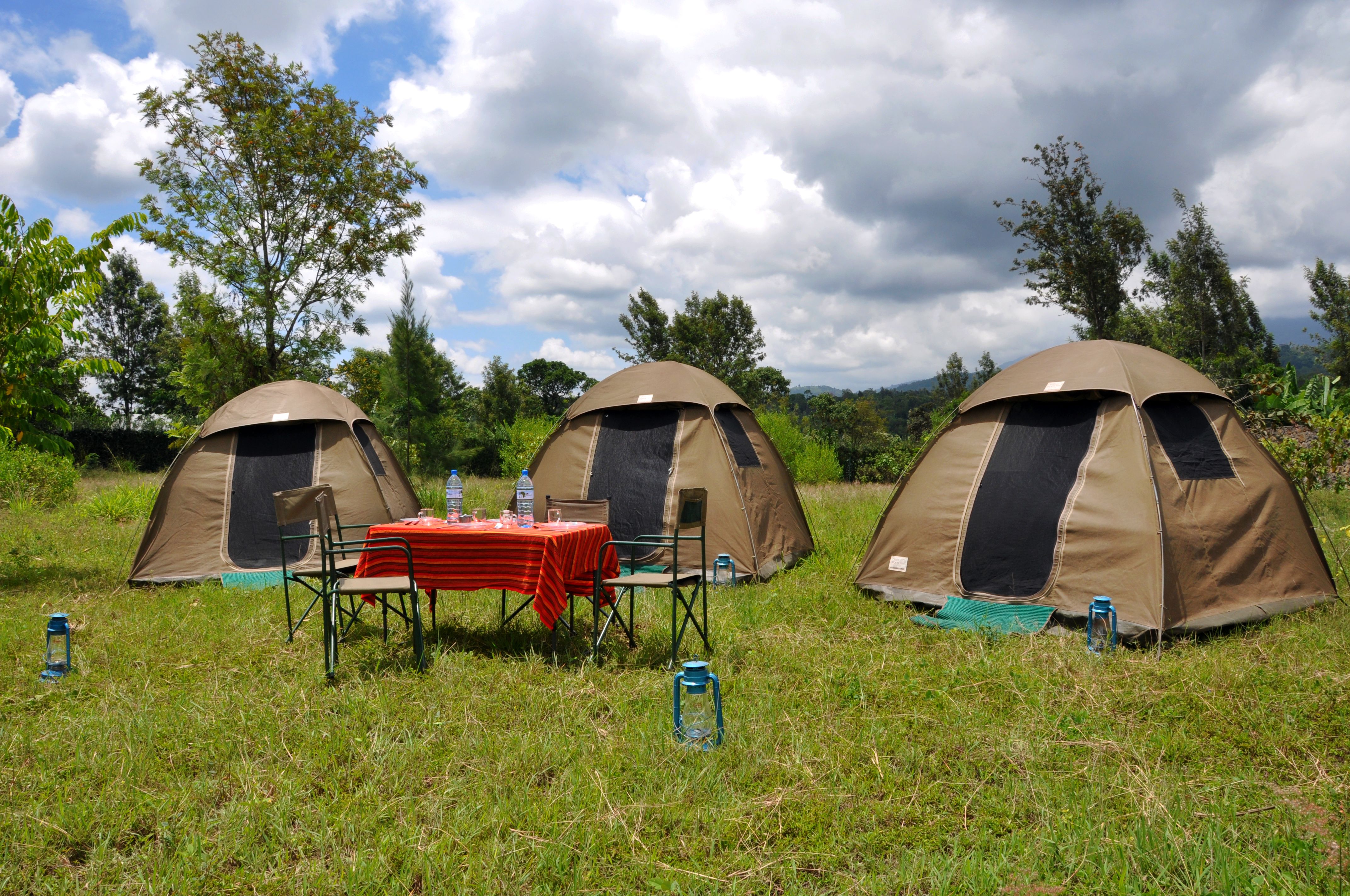 Arusha&dan: Tarangire ve Ngorongoro Krateri Kamp Safari